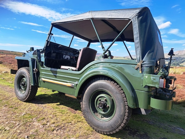 Used Austin Champ 1971 for sale - 76047206: Photo 10