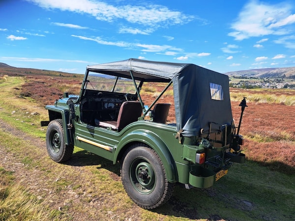 Used Austin Champ 1971 for sale - 76047206: Photo 11