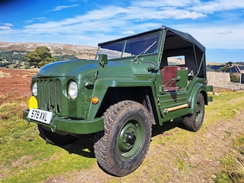 Used Austin Champ 1954 for sale - 76047206: Photo