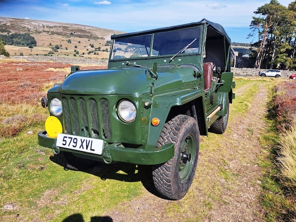 Used Austin Champ 1971 for sale - 76047206: Photo 7