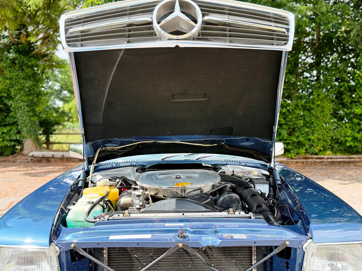 Vehicle 38