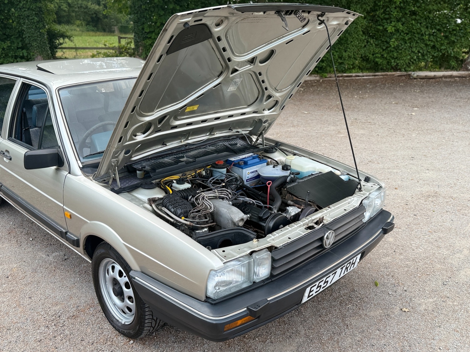 Vehicle 44