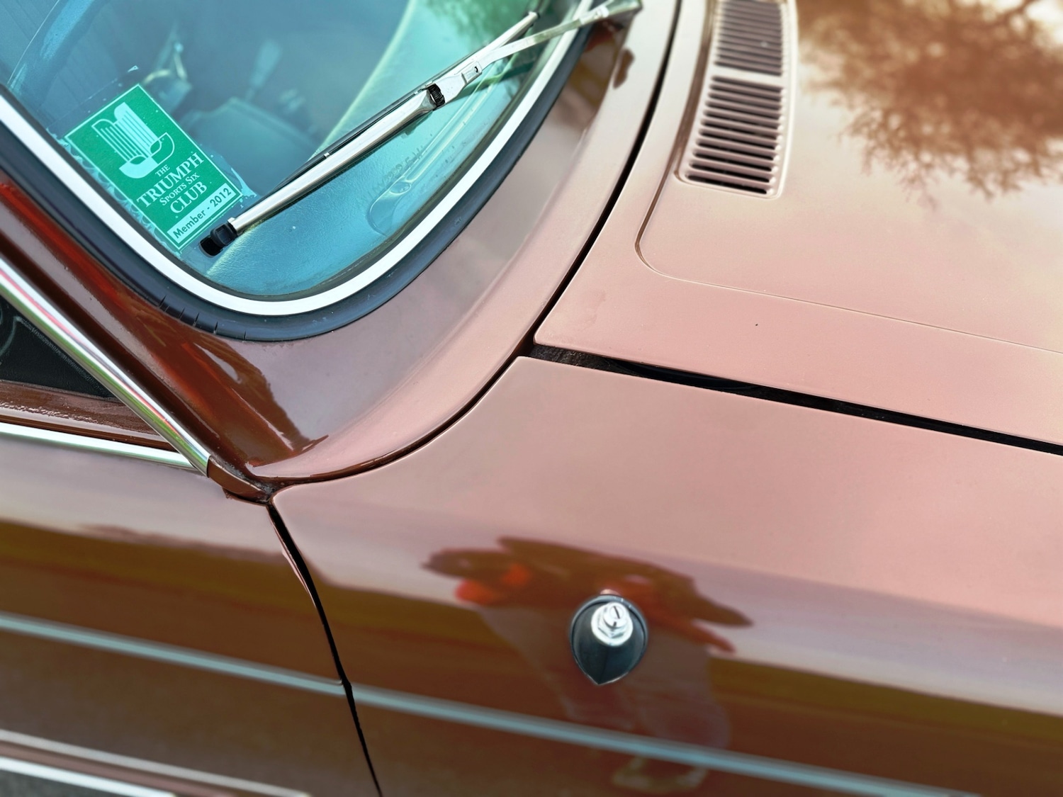 Used Triumph Dolomite 1980 for sale - 78038650: Photo 32