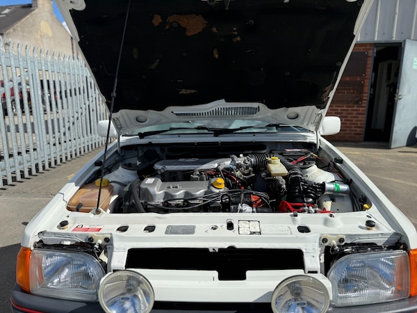Used Ford Orion 1988 for sale - 74399577: Photo 40