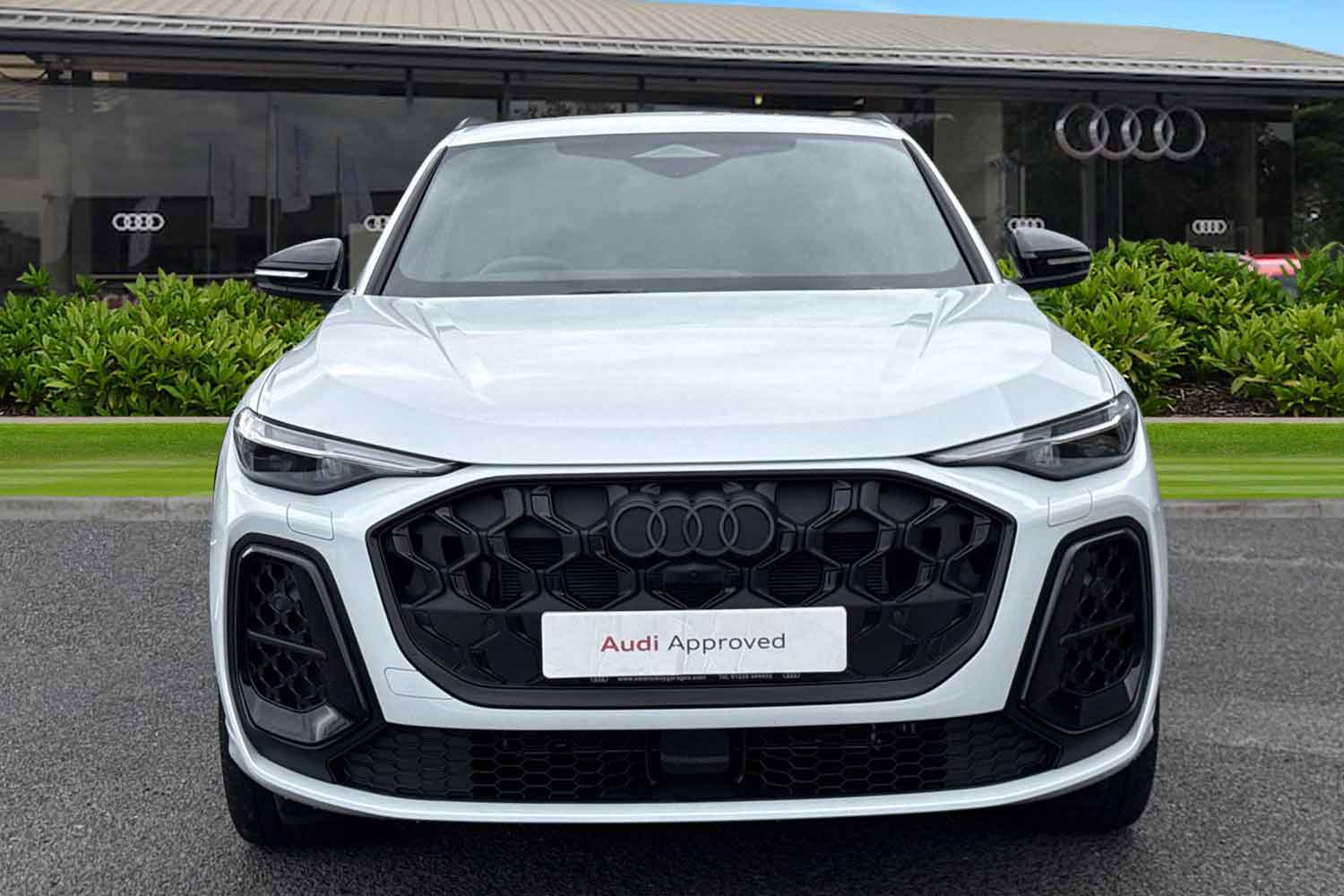 Used Audi Q5 2025 for sale - 77206604: Photo 6