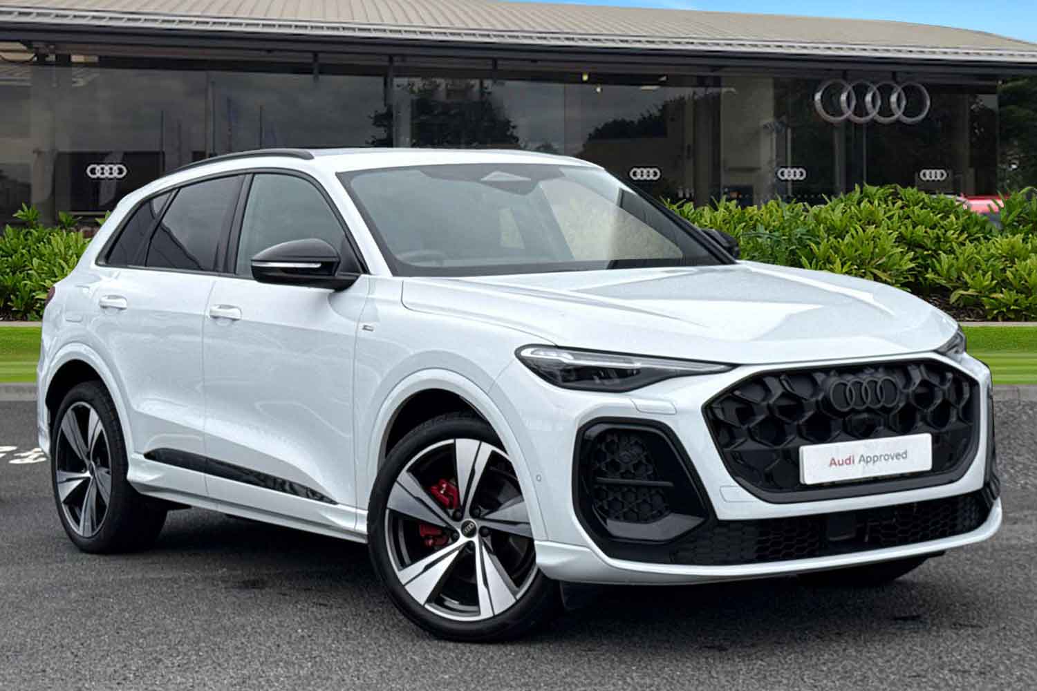 Used Audi Q5 2025 for sale - 76250634: Photo 1