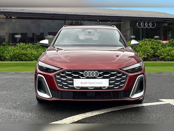 Used Audi A5 2024 for sale - 77014050: Photo