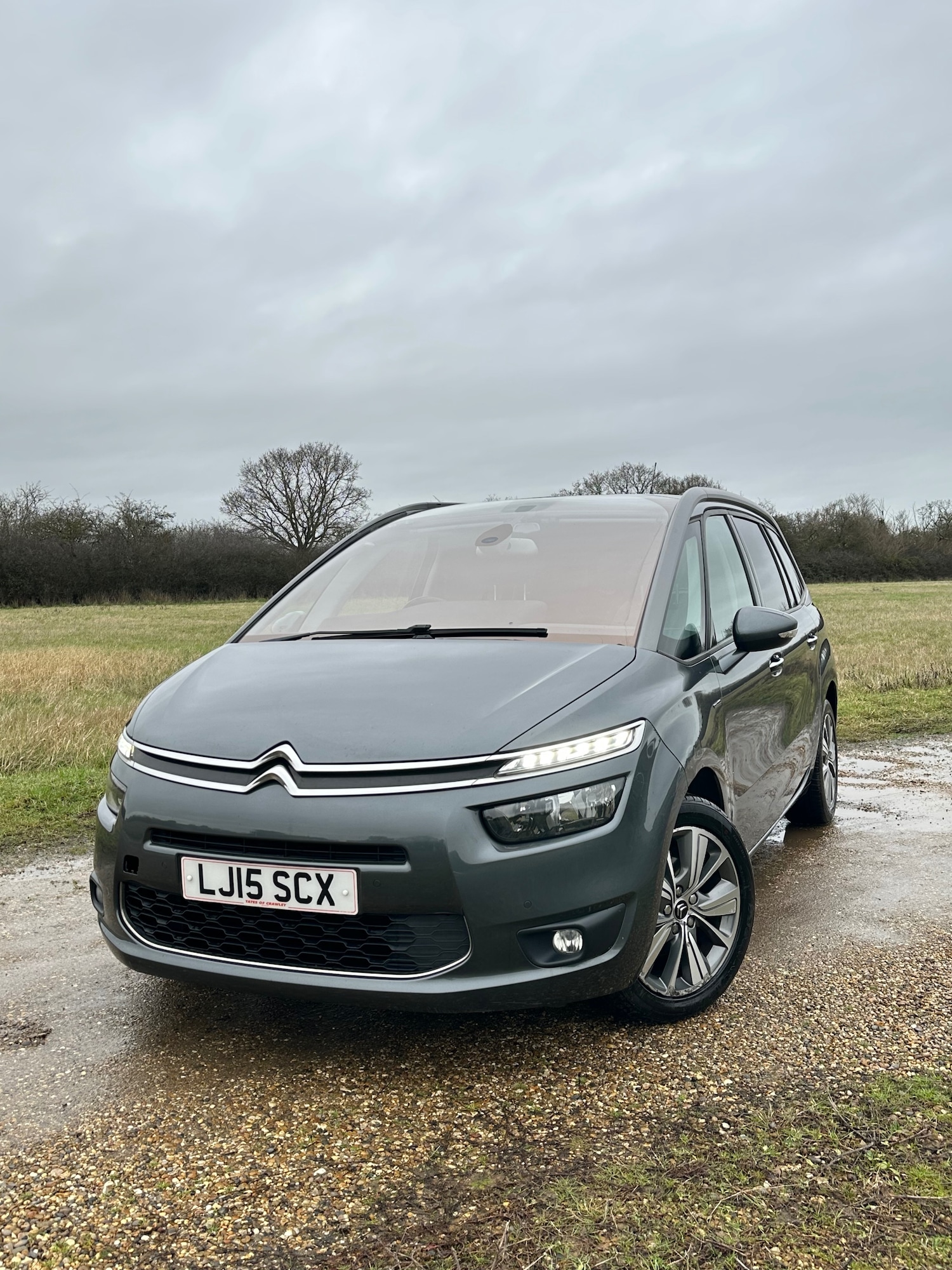 Used Citroen C4 Grand Picasso 2015 for sale - 77478196: Photo 3