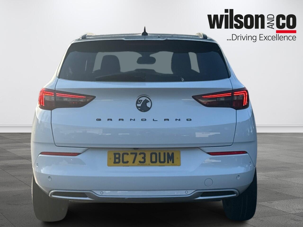 Used Vauxhall Grandland 2024 for sale - 77321010: Photo 8