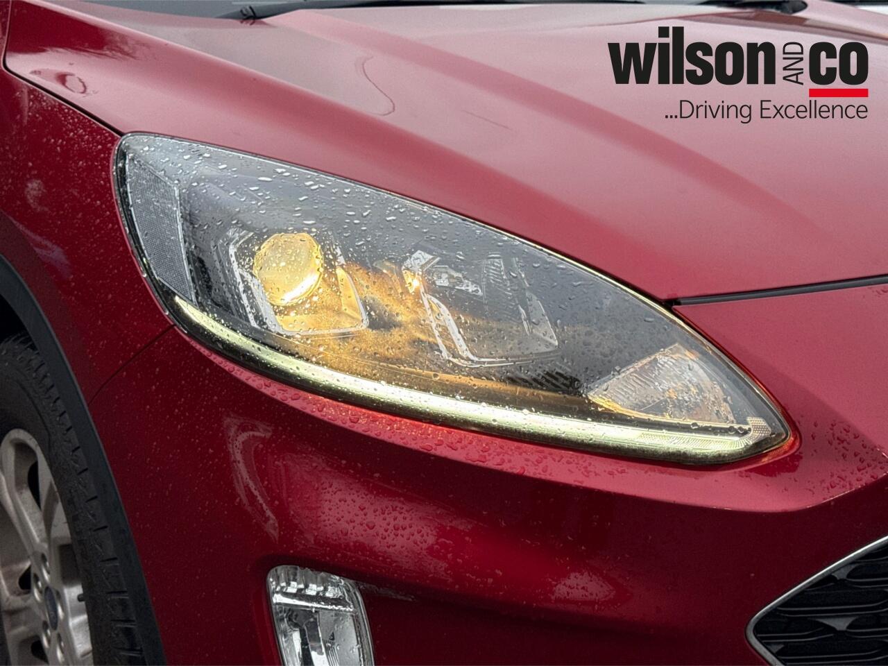 Used Ford Kuga 2020 for sale - 77330767: Photo 40