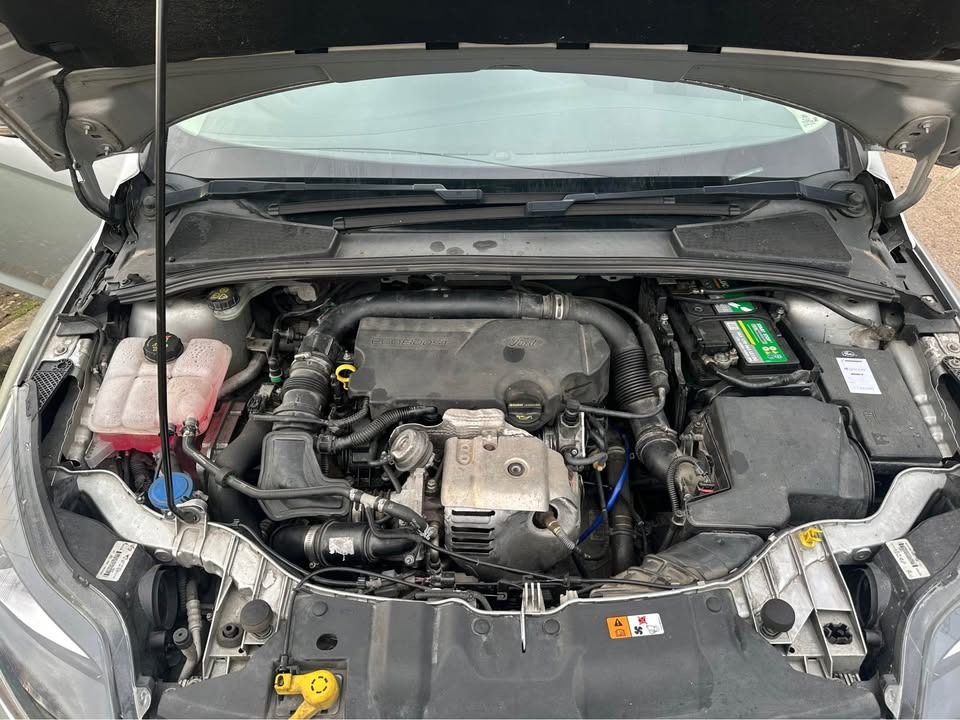 Used Ford Focus 2013 for sale - 76906141: Photo 8