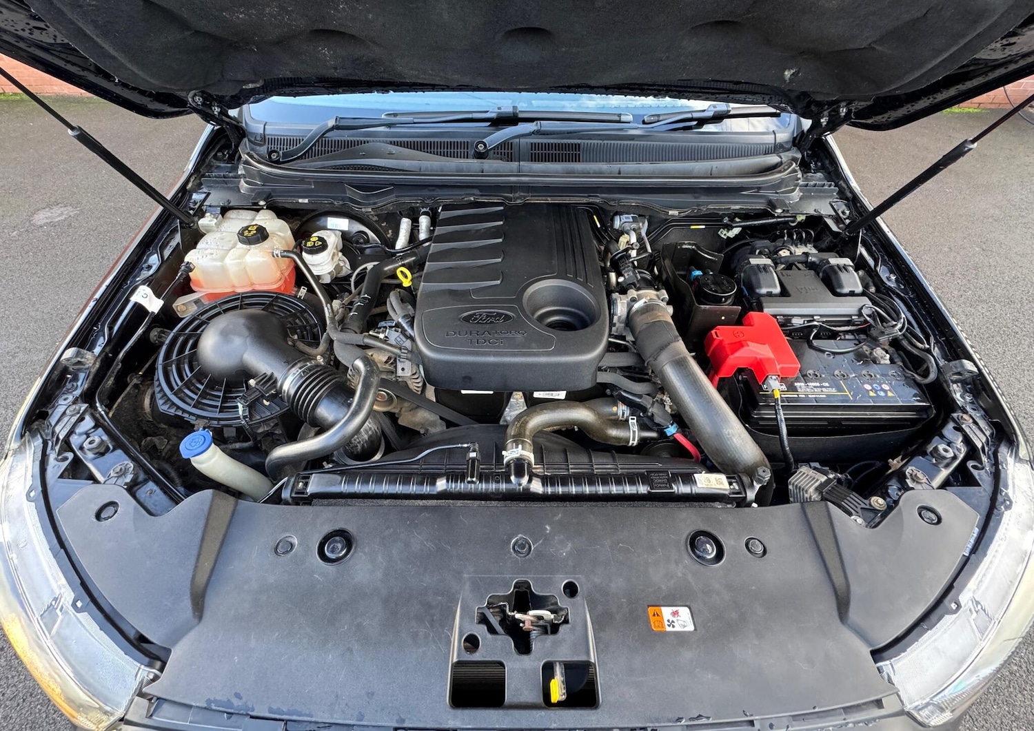 Used Ford Ranger 2019 for sale - 76585245: Photo 49