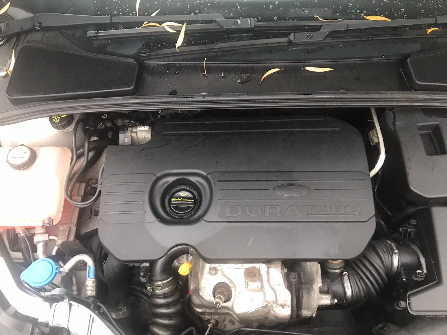 Used Ford Focus 2015 for sale - 77019952: Photo 15