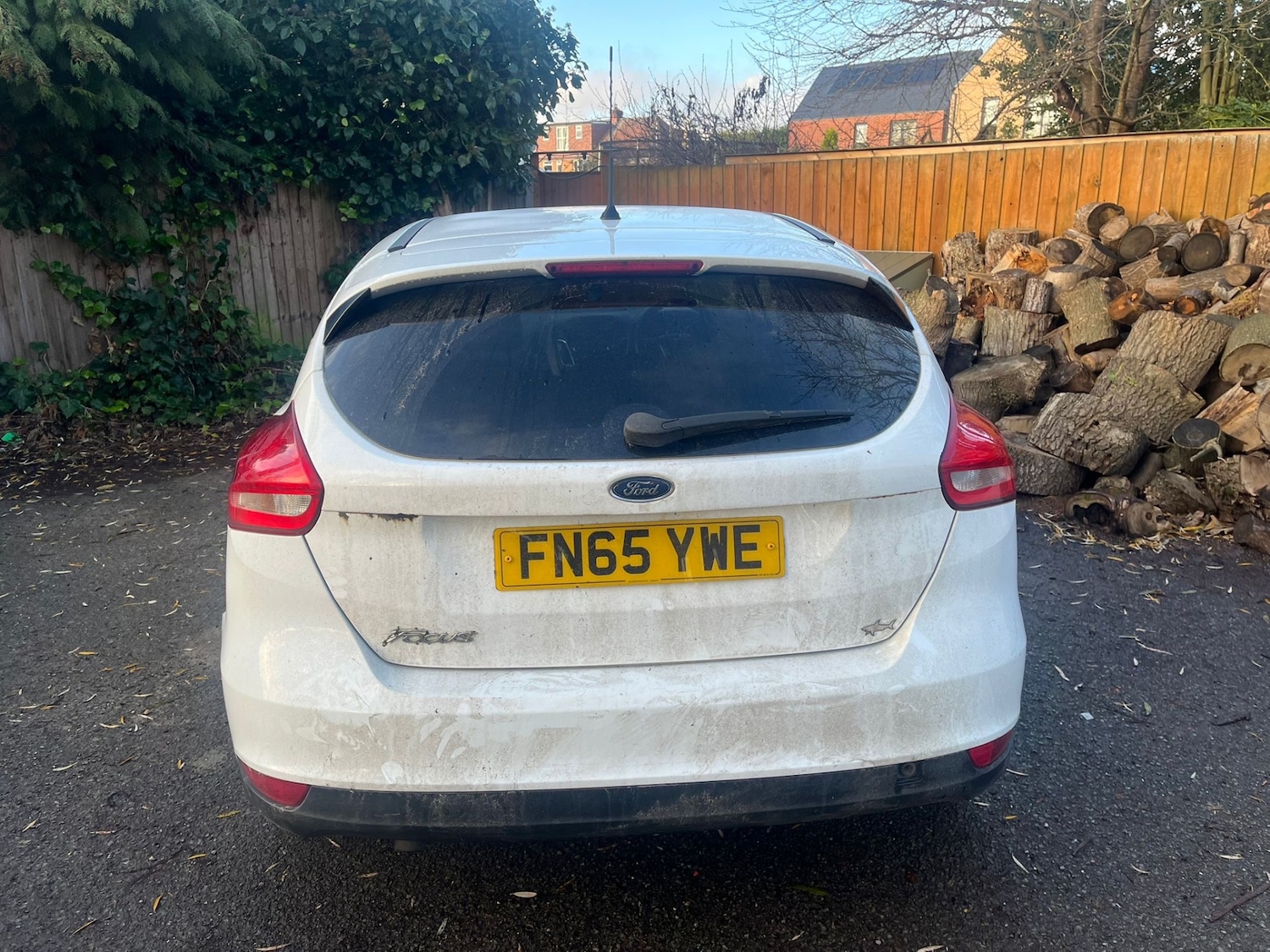 Used Ford Focus 2015 for sale - 77019952: Photo 8