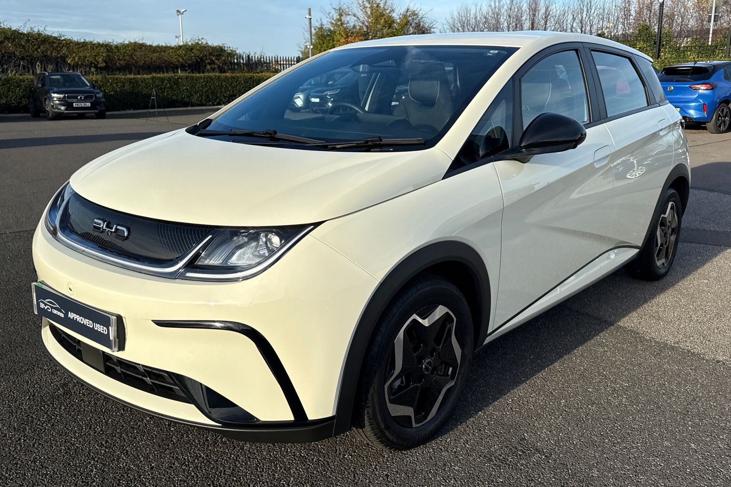 Used BYD Dolphin 2025 for sale - 77382338: Photo 26