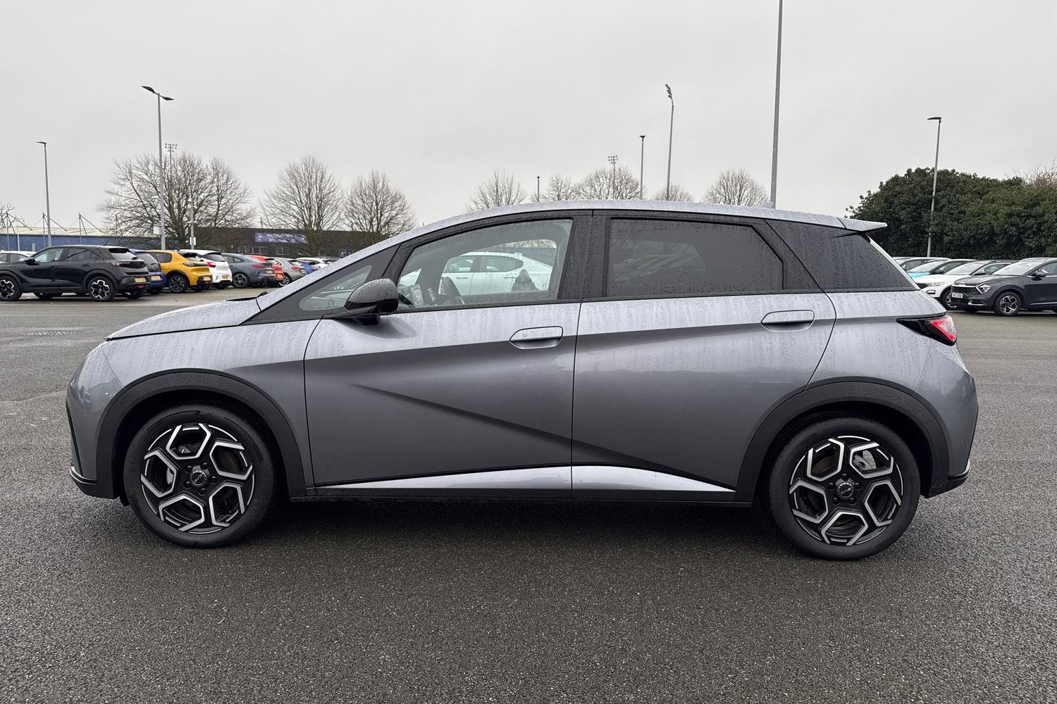 Used BYD Dolphin 2025 for sale - 77152634: Photo 30