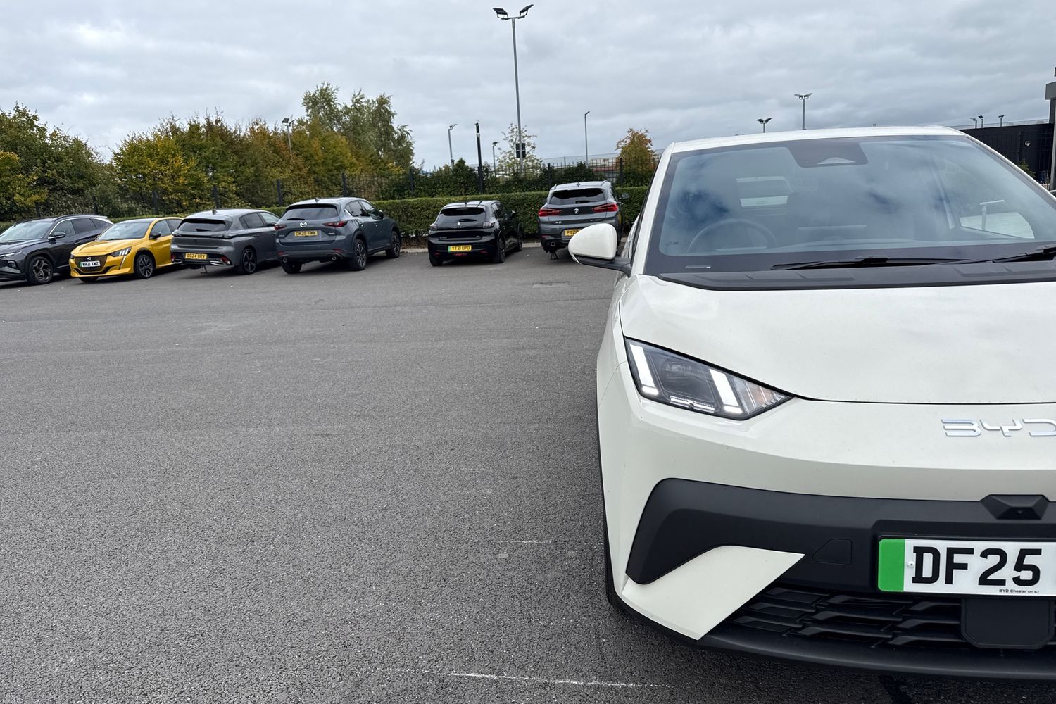 Used BYD Dolphin 2025 for sale - 76218547: Photo 24