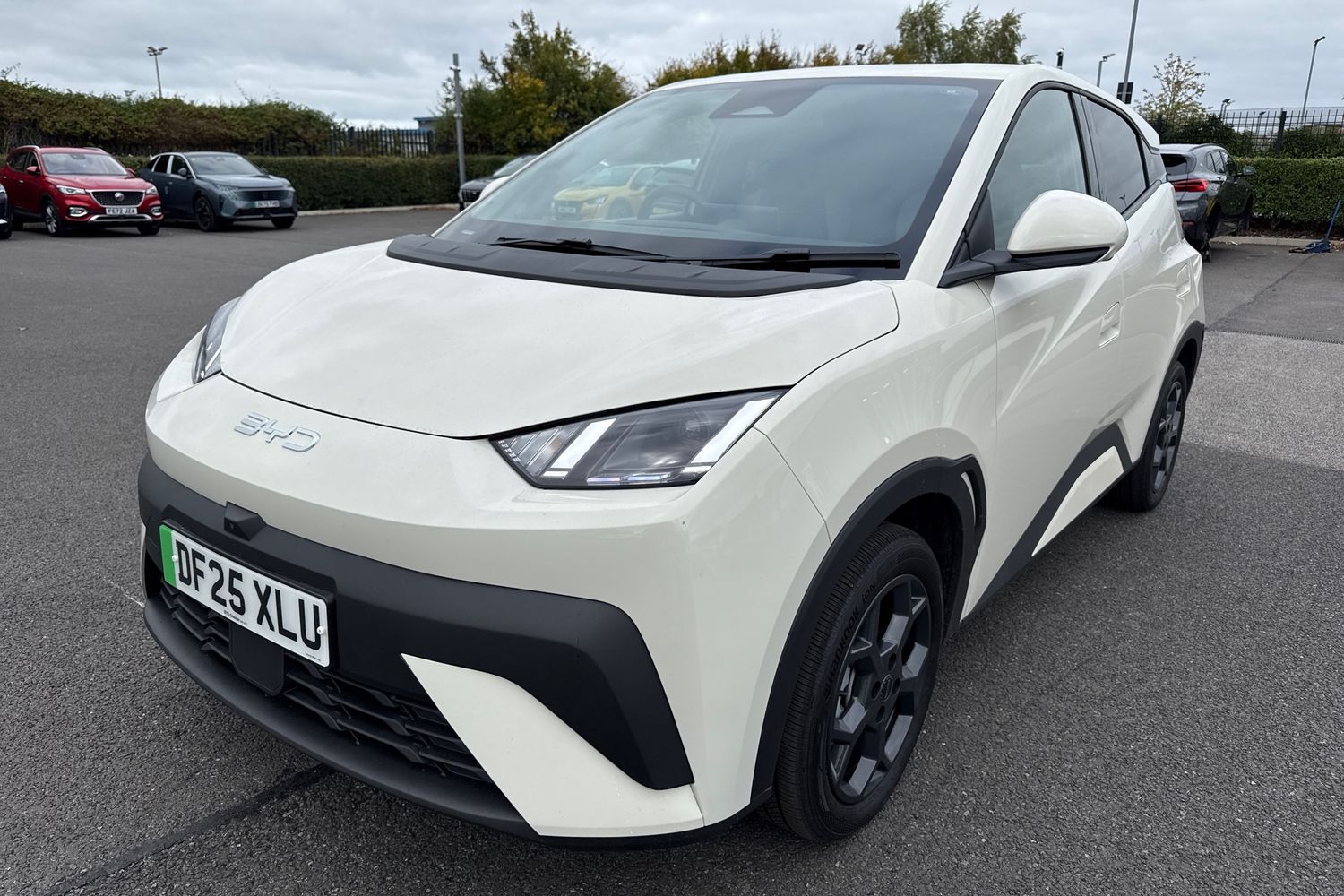 Used BYD Dolphin 2025 for sale - 76218547: Photo 26