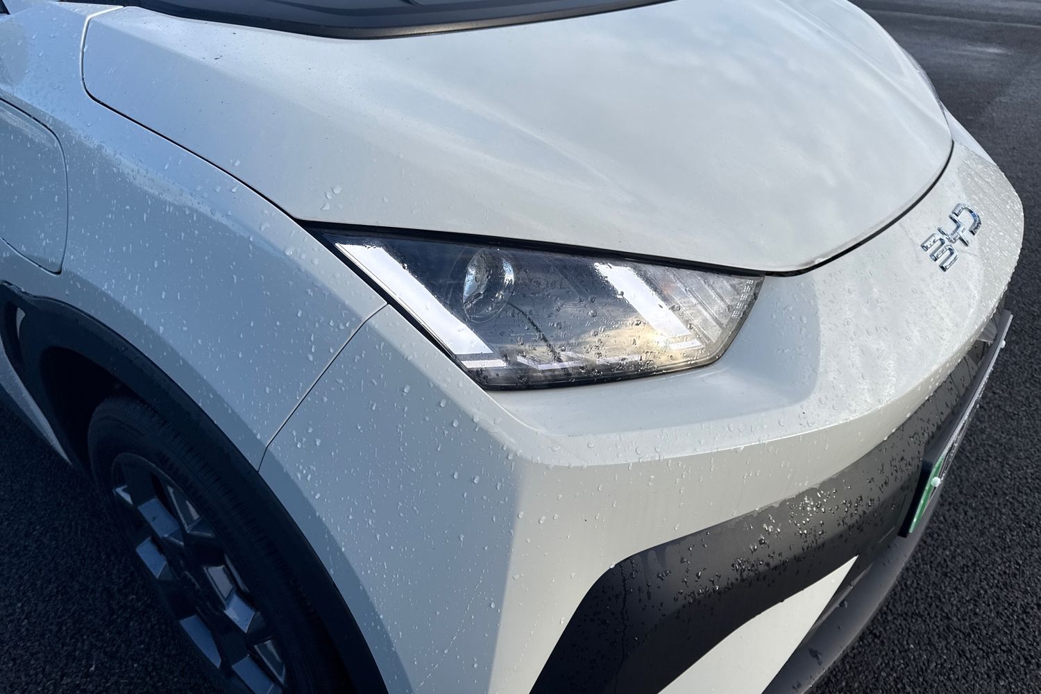 Used BYD Dolphin 2025 for sale - 77194811: Photo 16