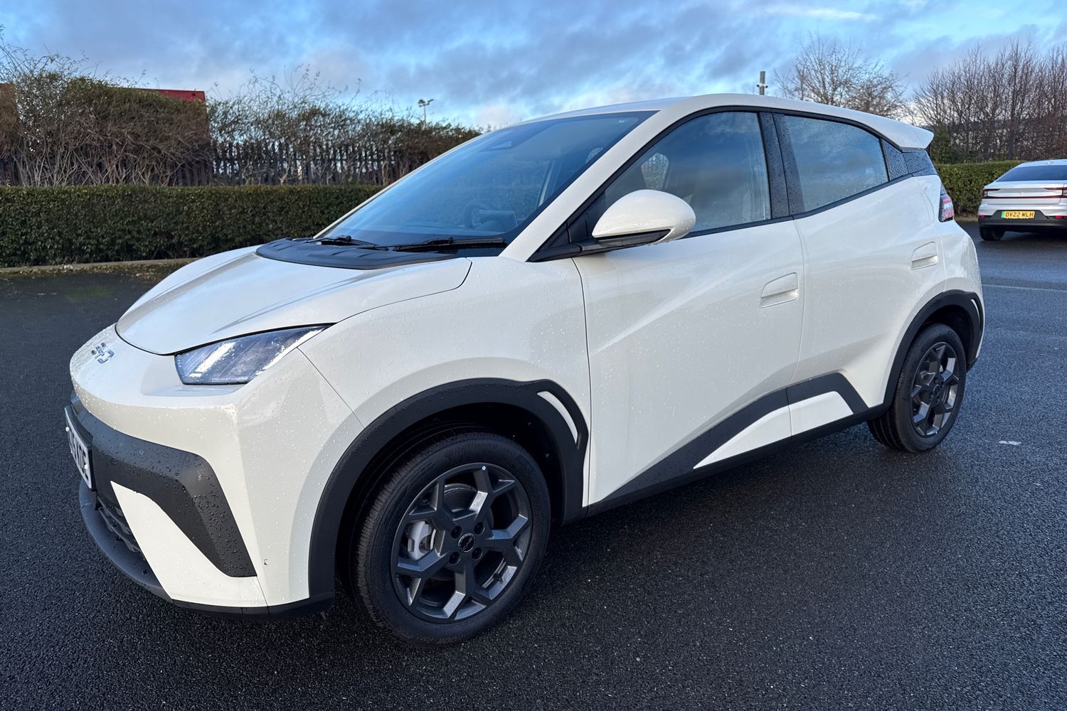 Used BYD Dolphin 2025 for sale - 77194811: Photo 27