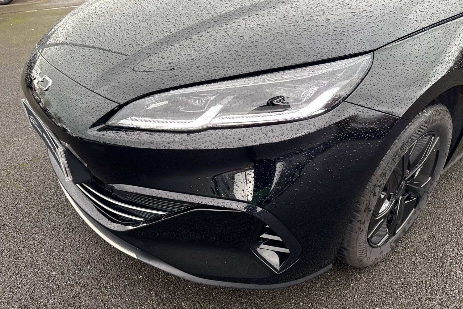 Used BYD Seal 6 2025 for sale - 77703446: Photo 26