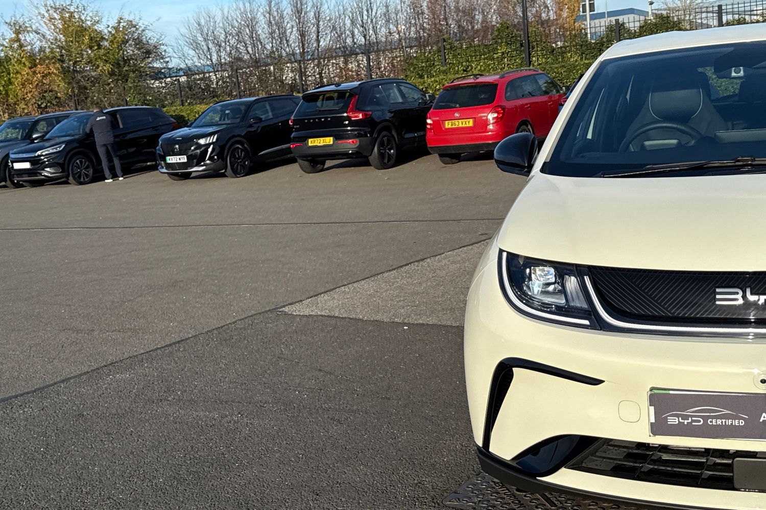 Used BYD Dolphin 2025 for sale - 76662169: Photo 24