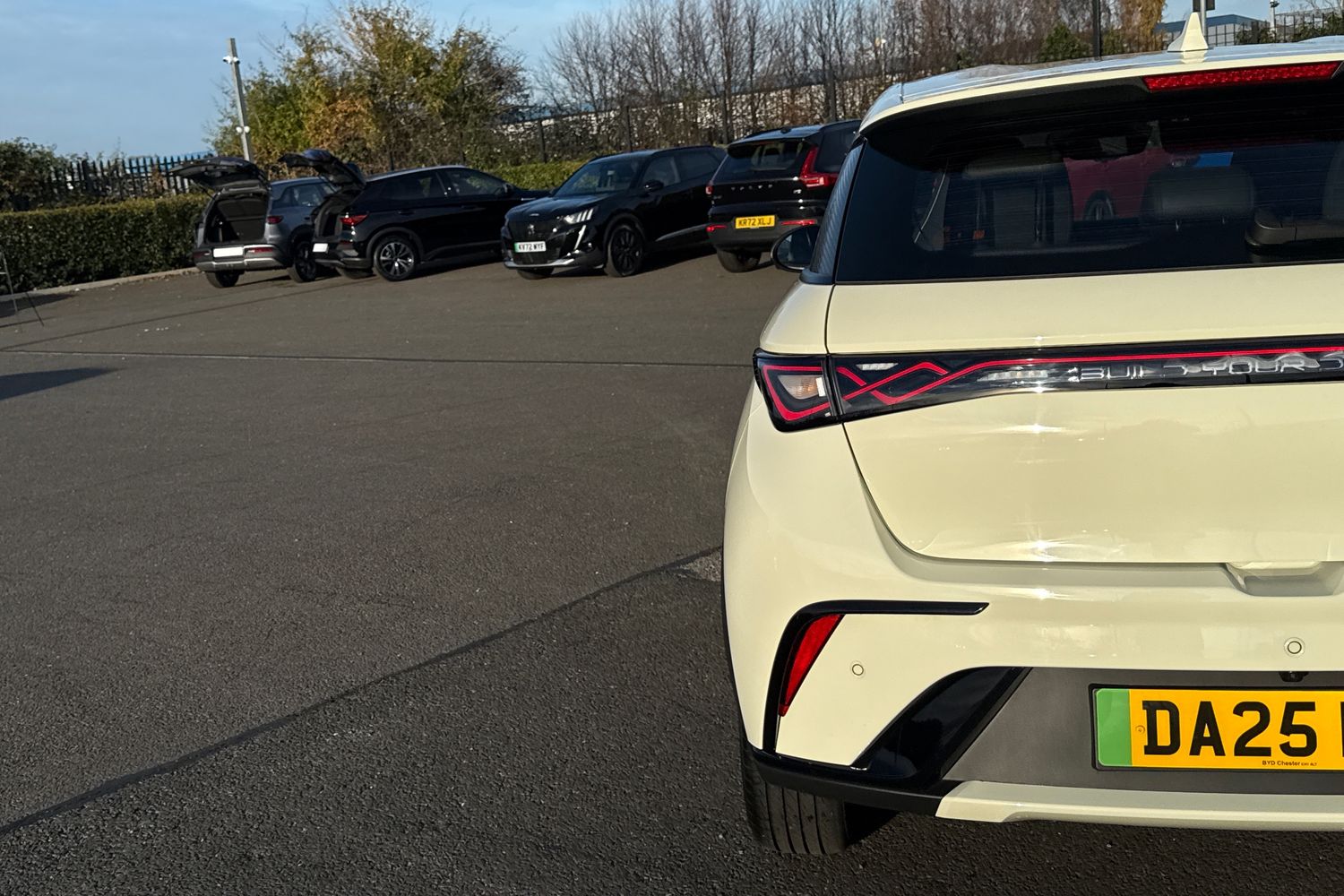 Used BYD Dolphin 2025 for sale - 76662169: Photo 32