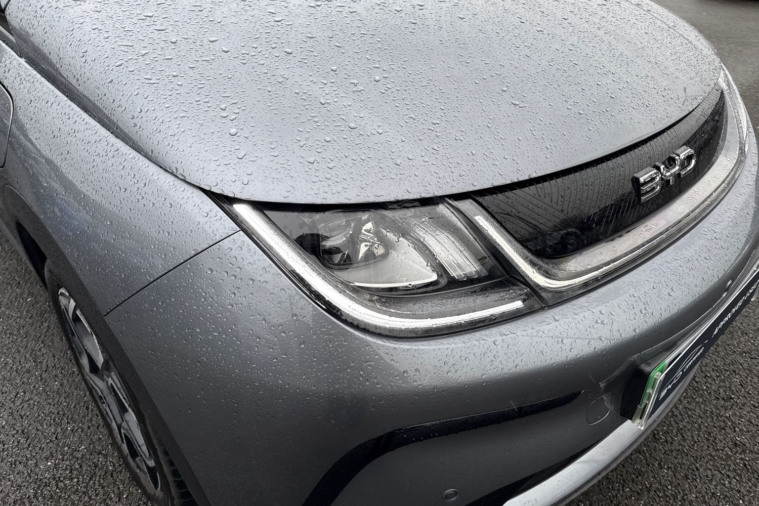 Used BYD Dolphin 2025 for sale - 77553385: Photo 16