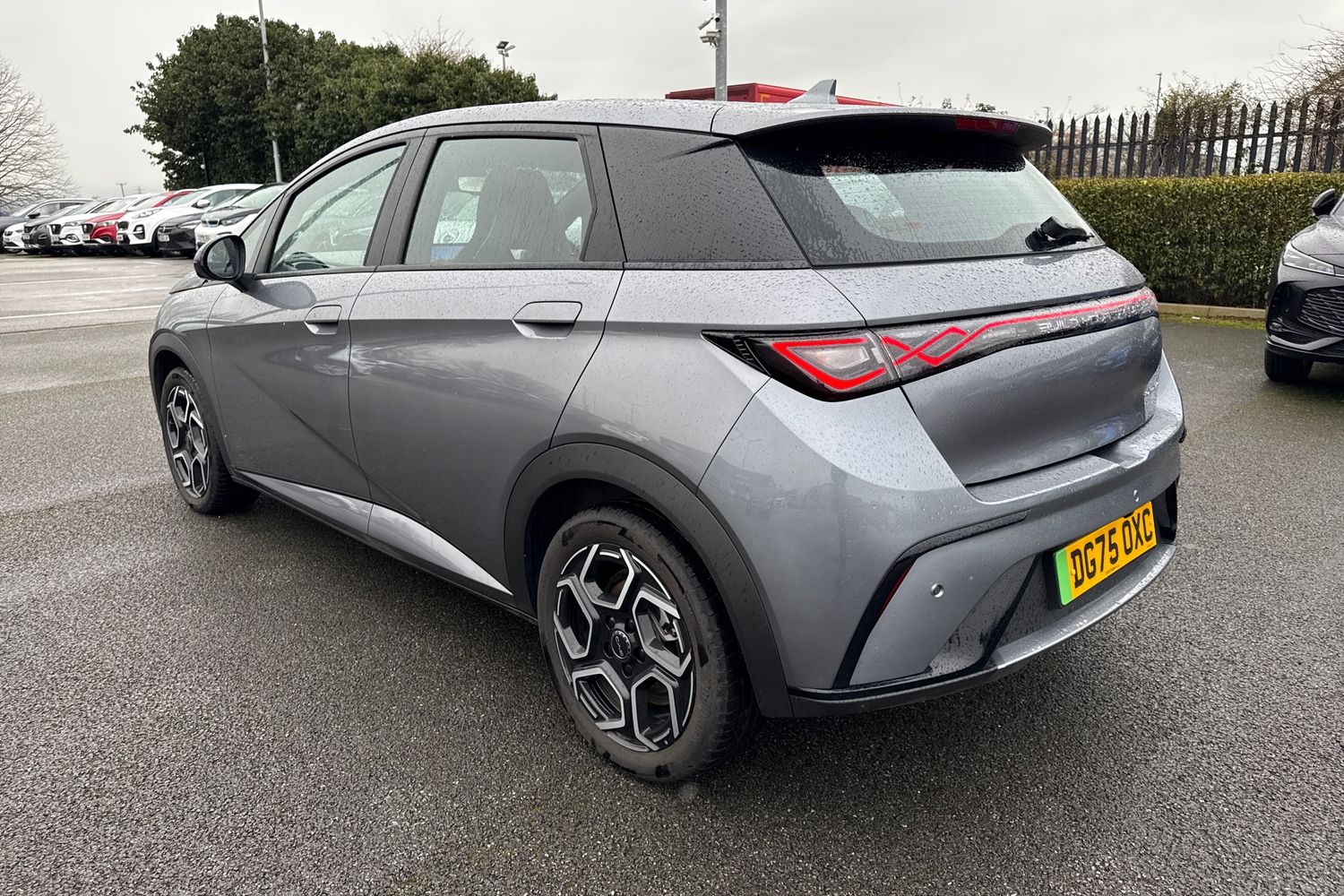 Used BYD Dolphin 2025 for sale - 77553385: Photo 29