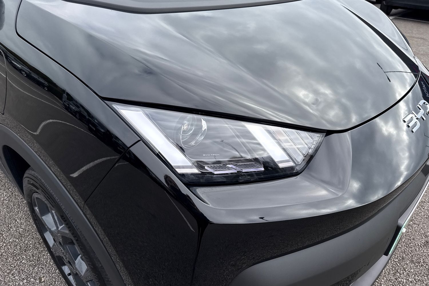 Used BYD Dolphin 2025 for sale - 76236696: Photo 16