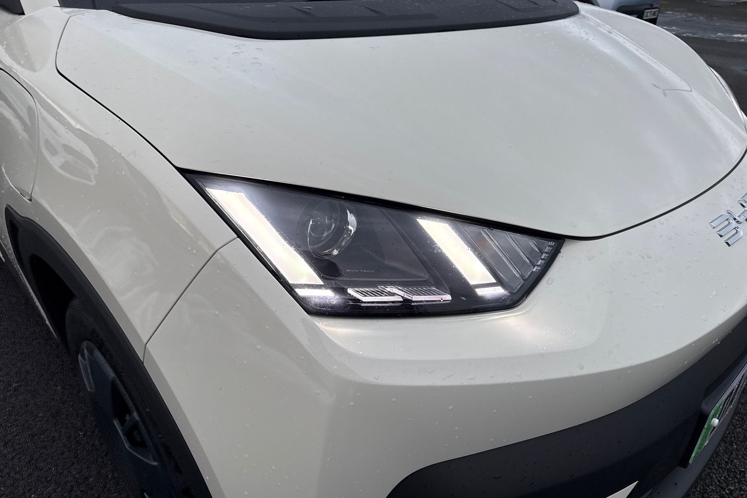 Used BYD Dolphin 2025 for sale - 77123767: Photo 16