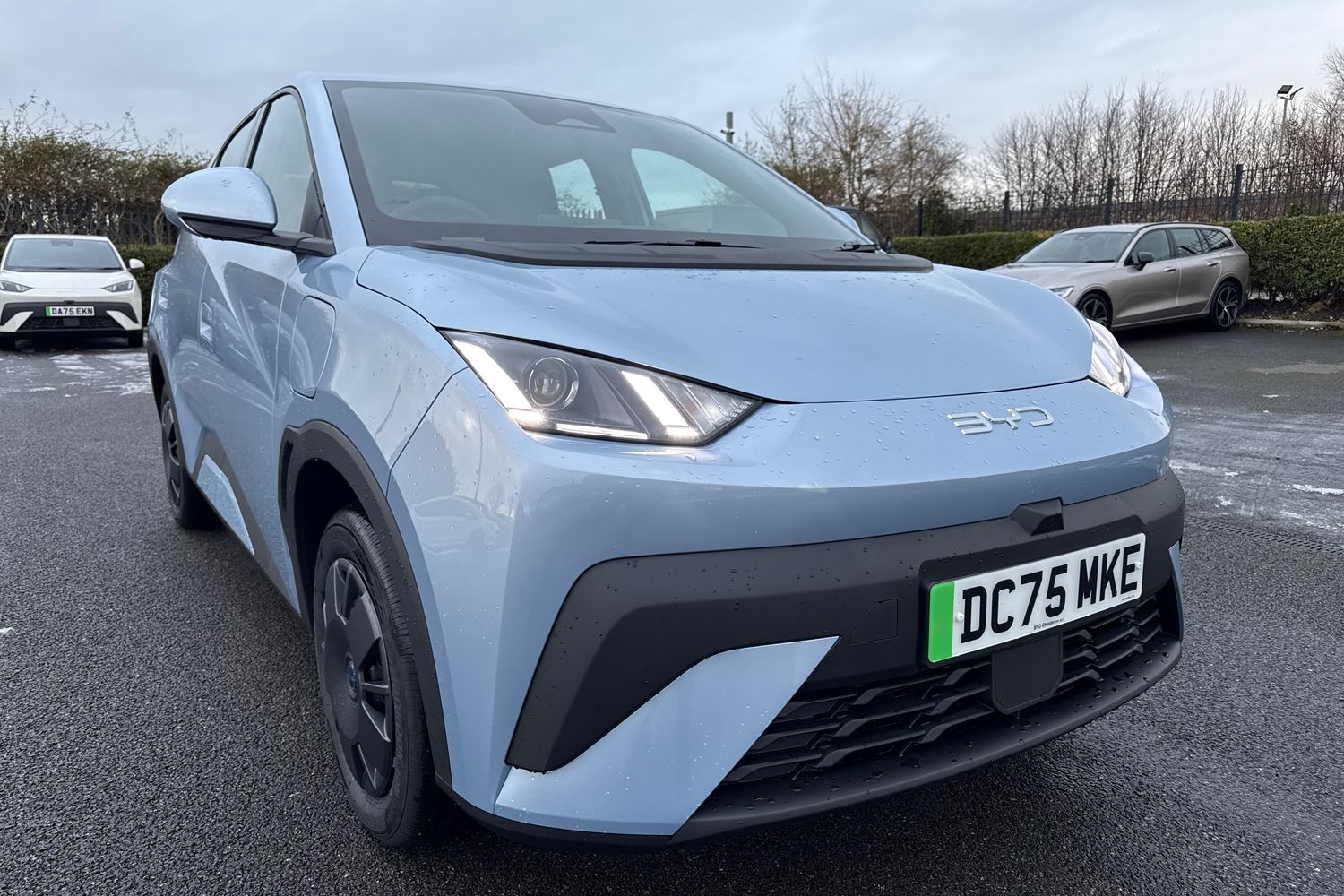 Used BYD Dolphin 2025 for sale - 77123701: Photo 16