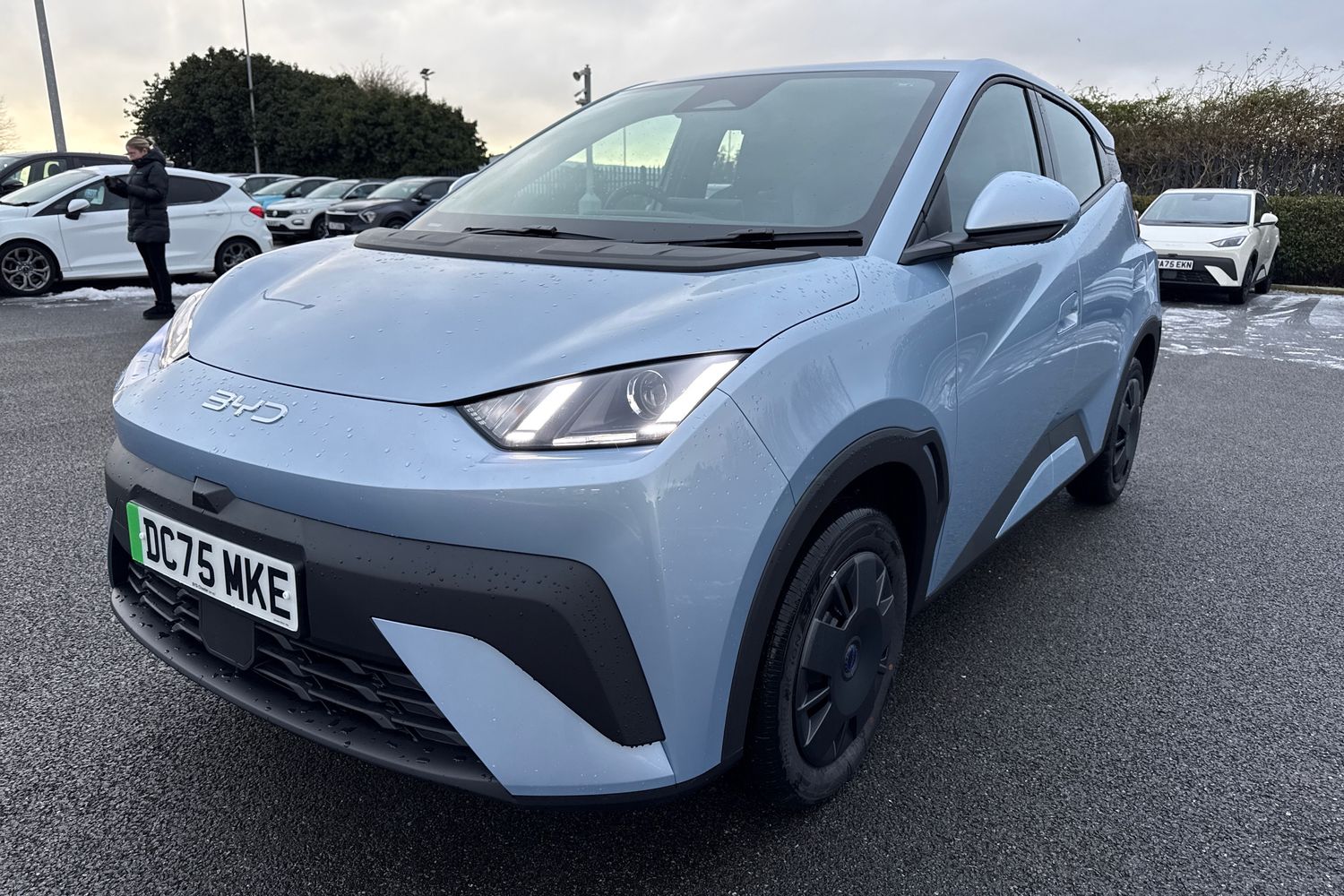 Used BYD Dolphin 2025 for sale - 77123701: Photo 26