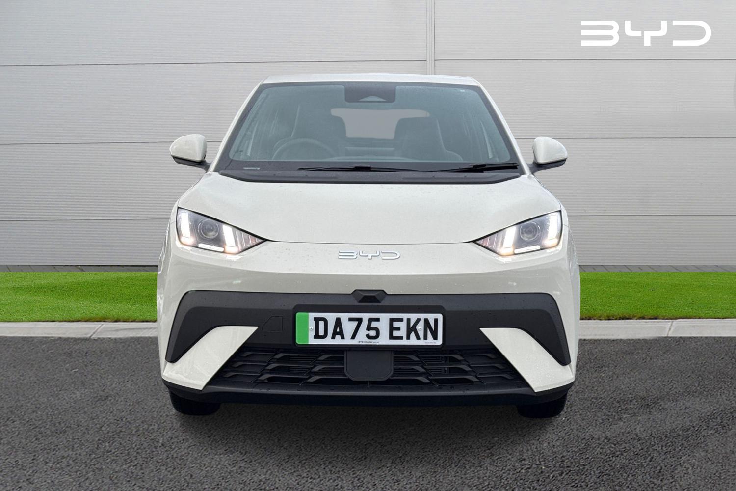 Used BYD Dolphin 2025 for sale - 77382364: Photo 5