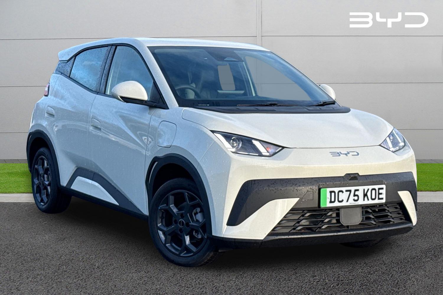 Used BYD Dolphin 2025 for sale - 77383186: Photo 1