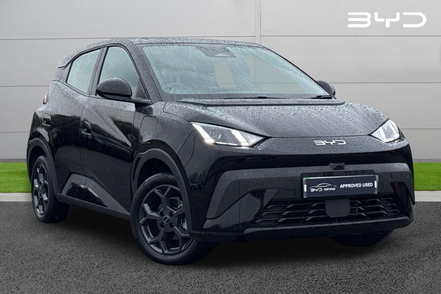 Used BYD Dolphin 2025 for sale - 77553335: Photo 1