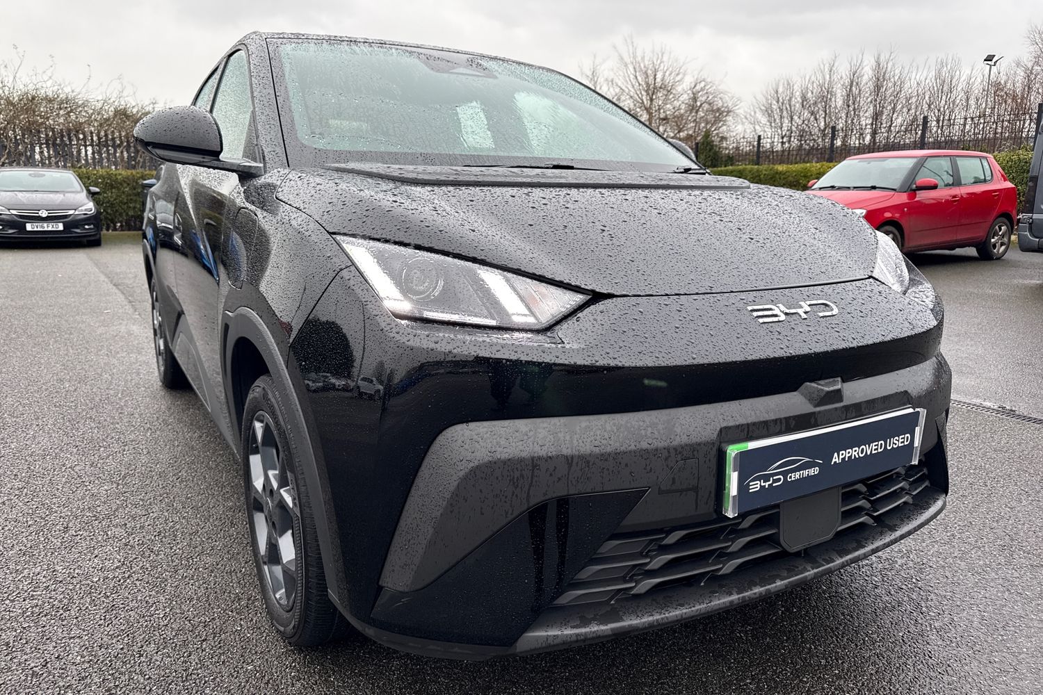 Used BYD Dolphin 2025 for sale - 77553335: Photo 16