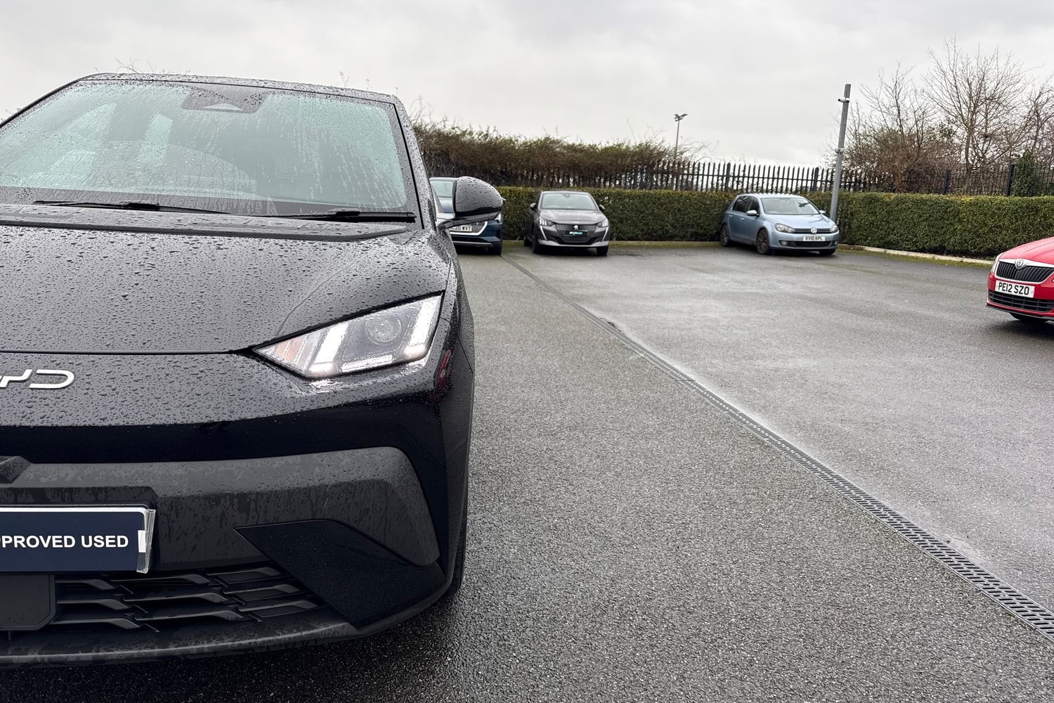 Used BYD Dolphin 2025 for sale - 77553335: Photo 25