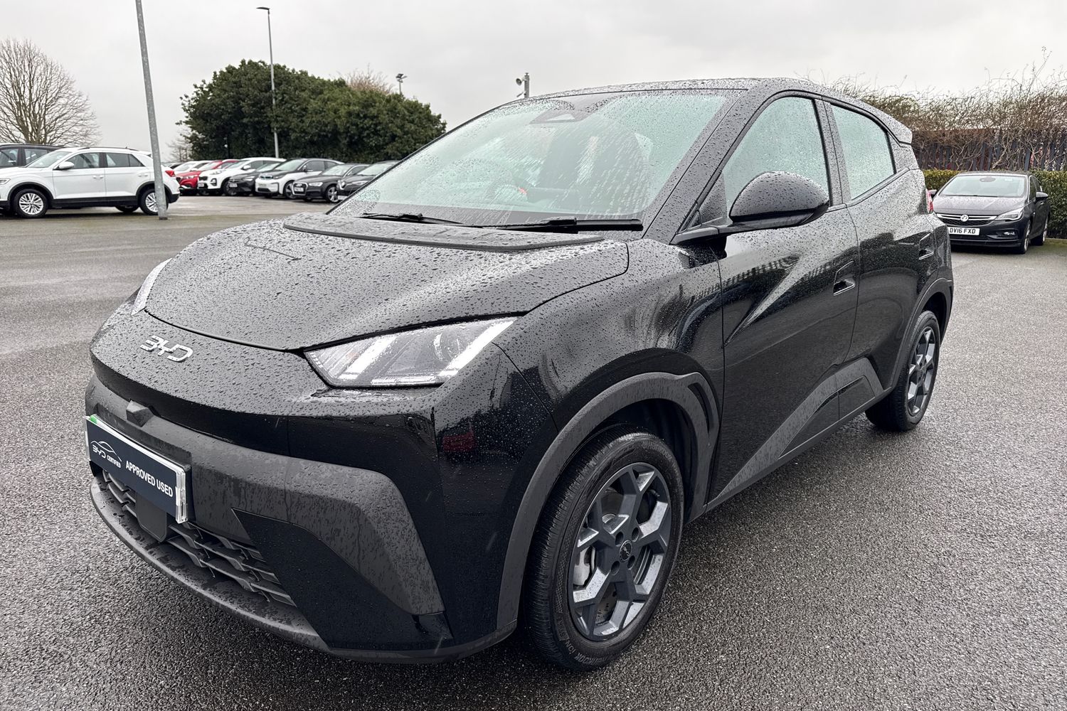 Used BYD Dolphin 2025 for sale - 77553335: Photo 26