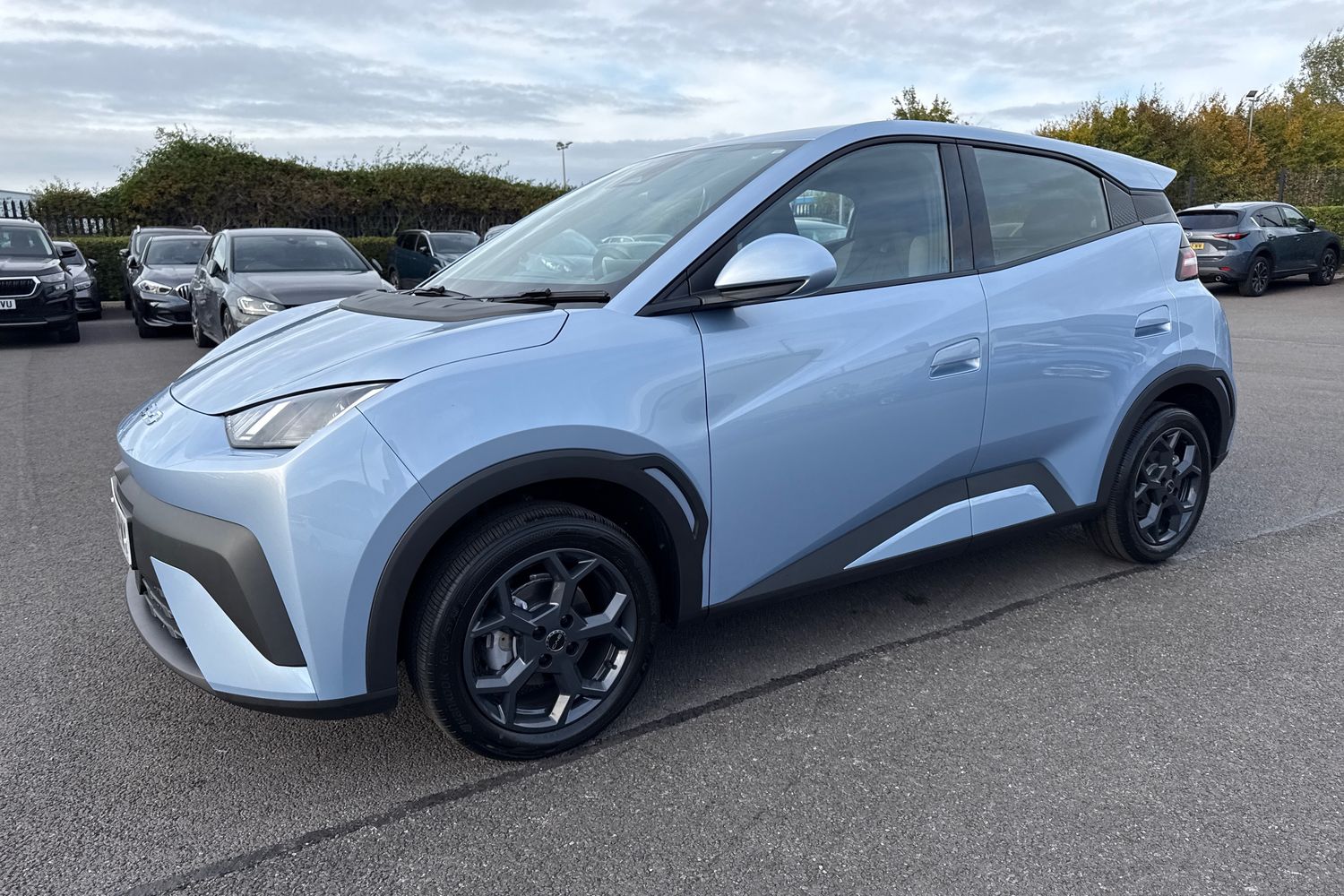 Used BYD Dolphin 2025 for sale - 76236695: Photo 26