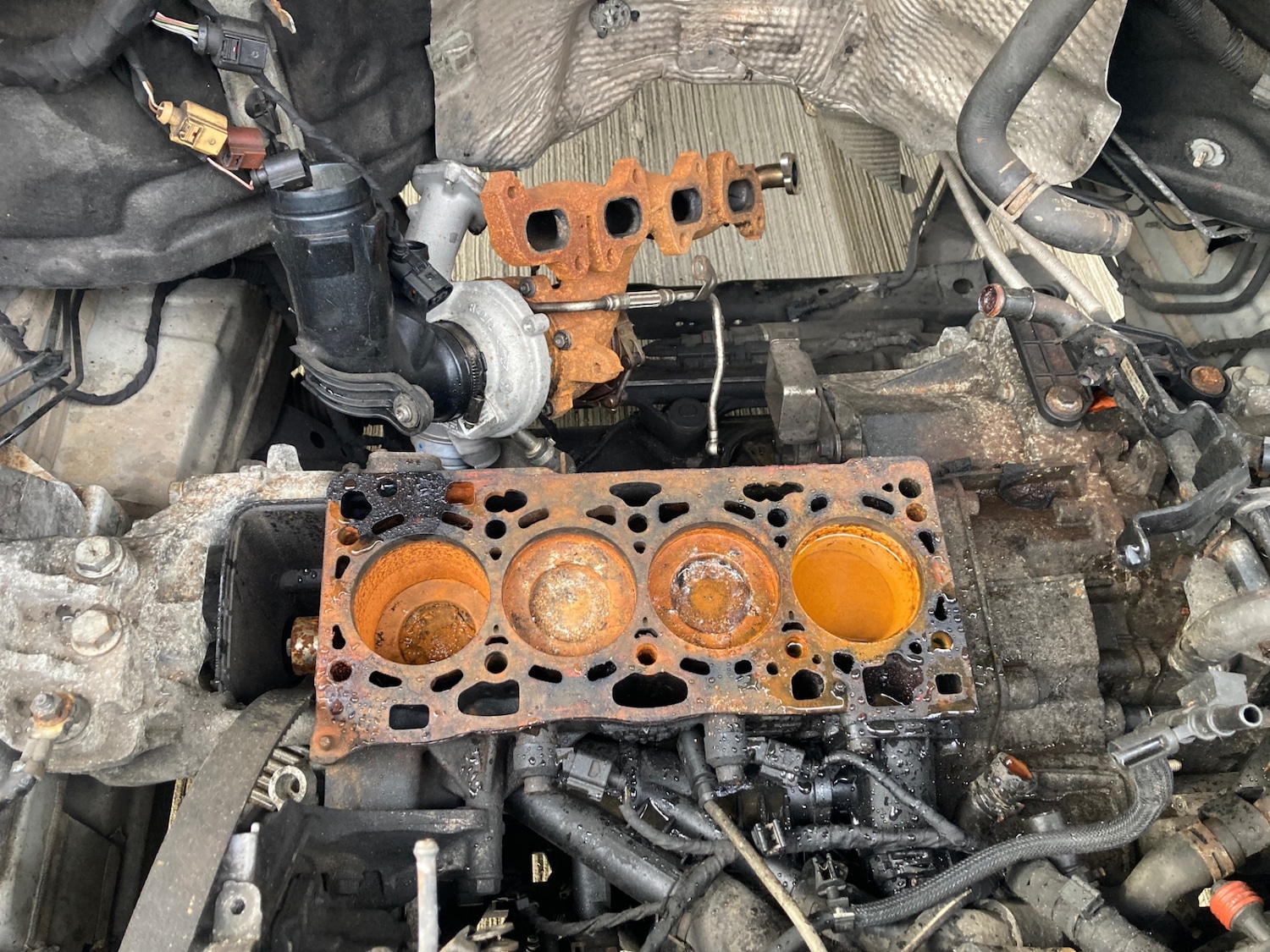 Used MAN TGE 2019 for sale - 76737898: Photo 10