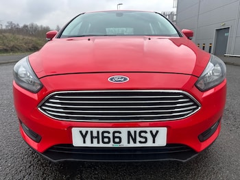 Used Ford Focus 2016 for sale - 77845070: Photo