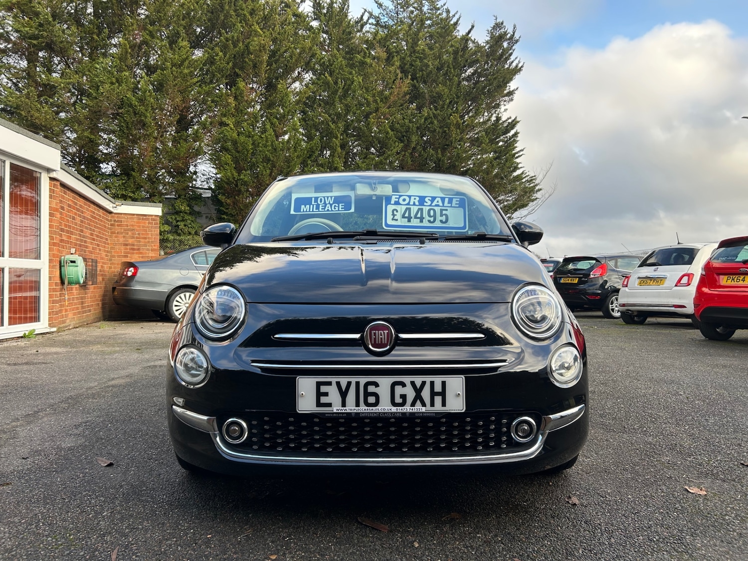 Used Fiat 500 2016 for sale - 77261897: Photo 2