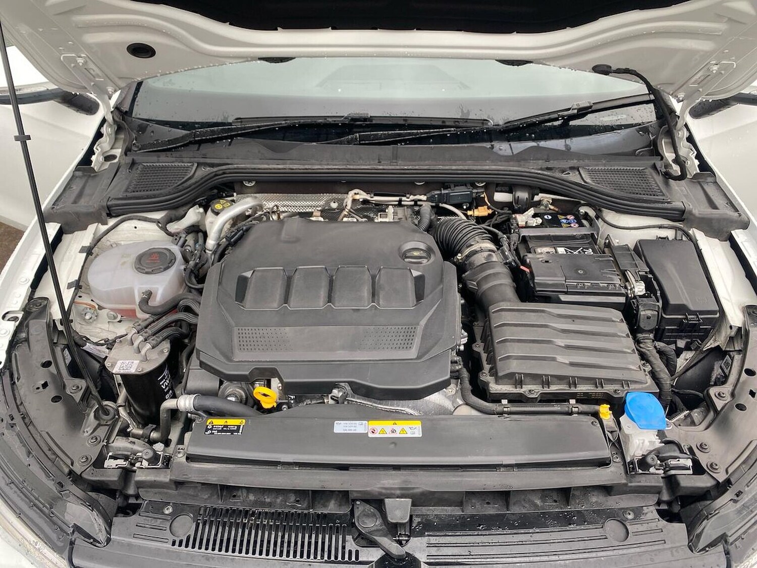 Used Volkswagen Golf 2025 for sale - 77802144: Photo 38