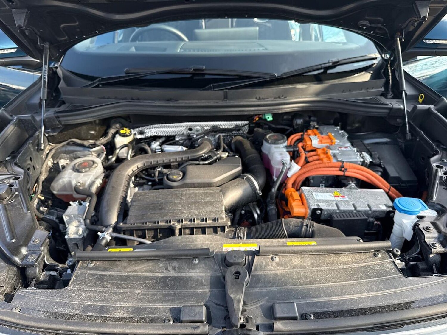 Used Volkswagen Tiguan 2025 for sale - 78193836: Photo 39