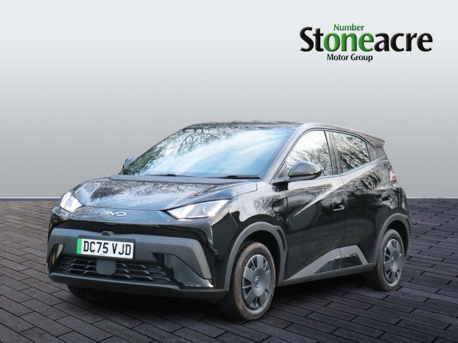 Used BYD Dolphin 2025 for sale - 77214790: Photo 9