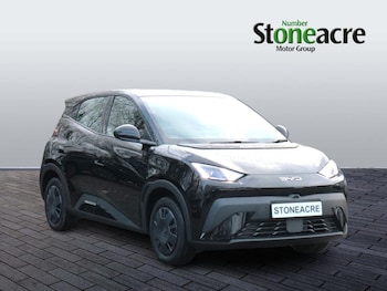 BYD Dolphin feature image