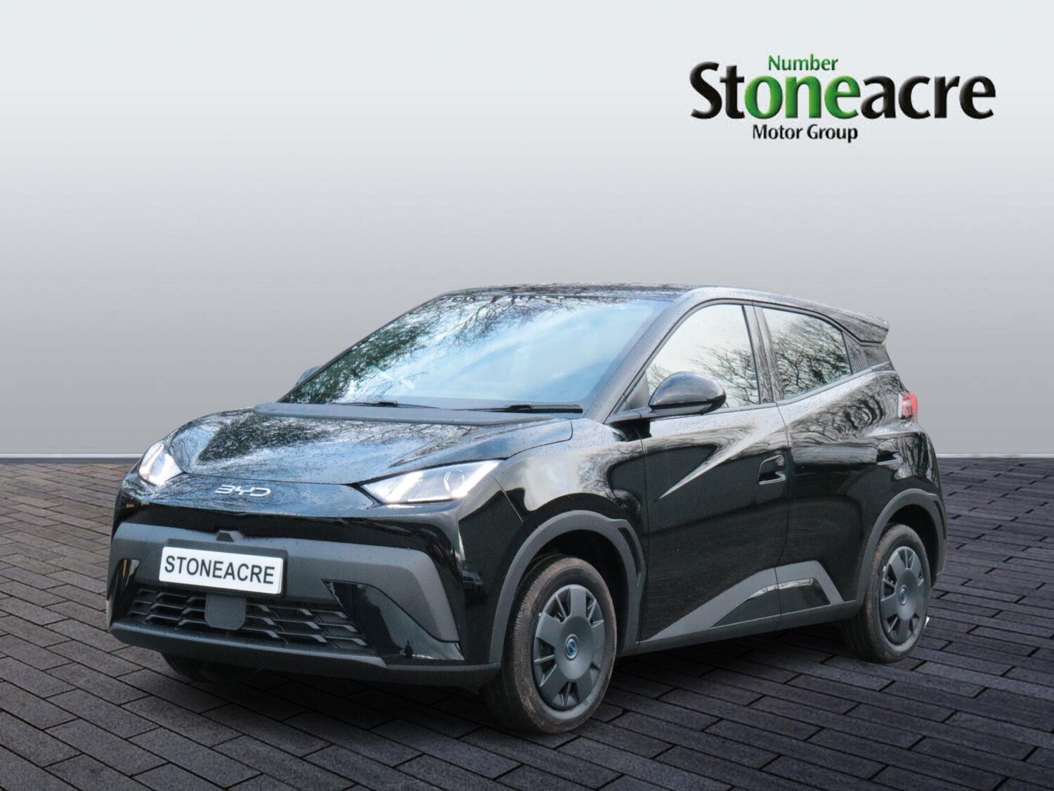 Used BYD Dolphin 2025 for sale - 77203510: Photo 7