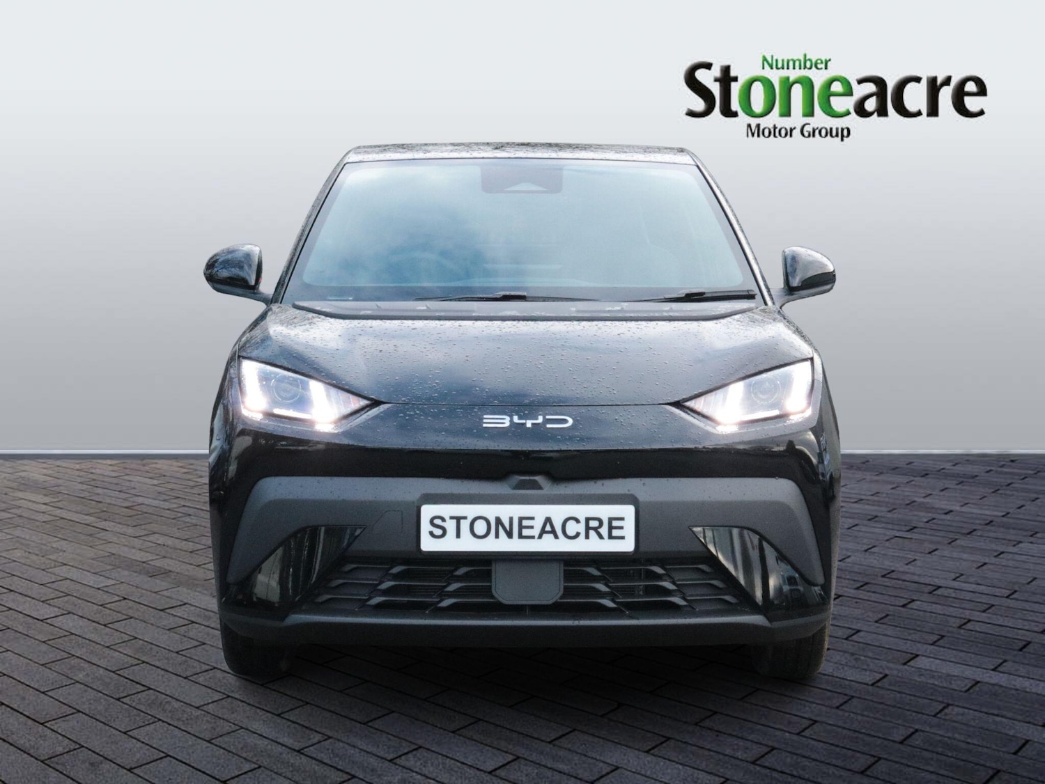 Used BYD Dolphin 2025 for sale - 77203510: Photo 8