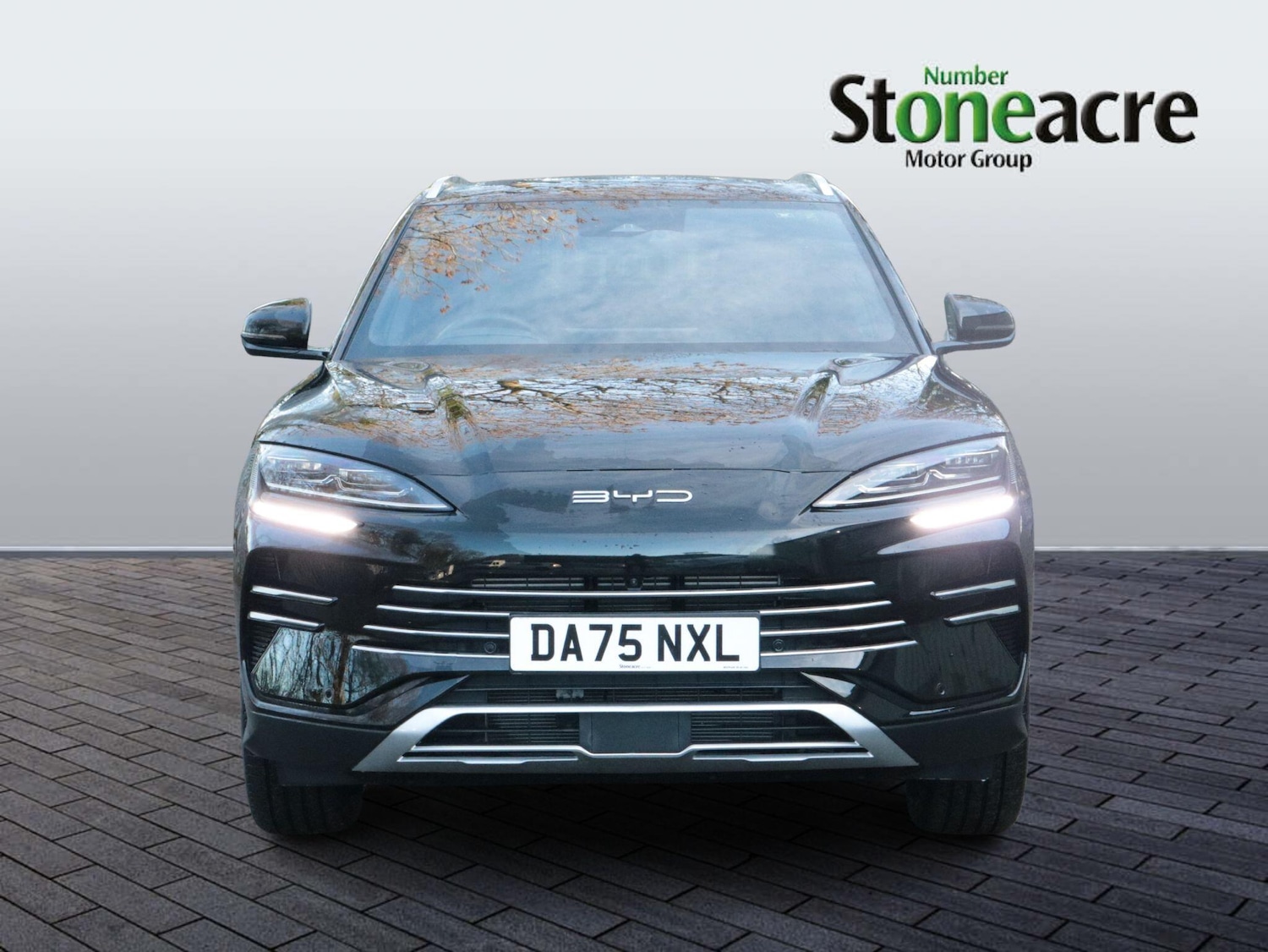 Used BYD Seal U 2025 for sale - 77203991: Photo 10